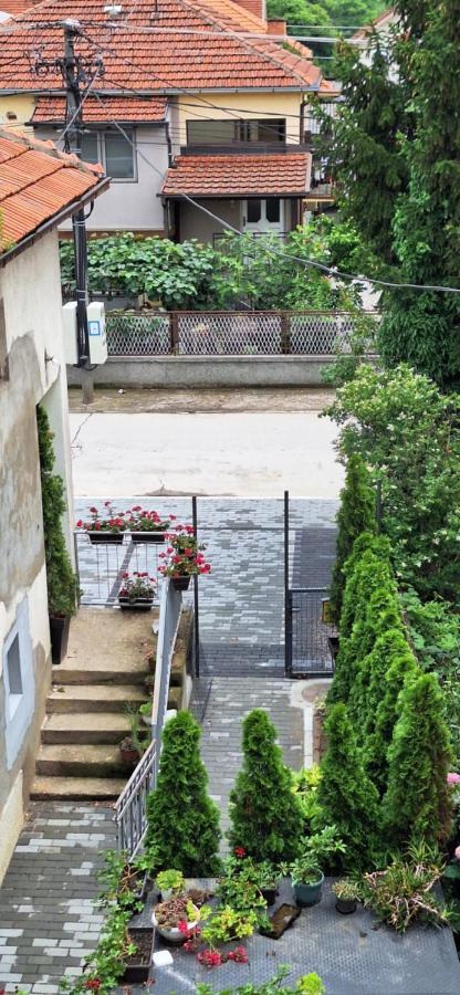 Apartman Zivkovic Λέσκοβατς Εξωτερικό φωτογραφία
