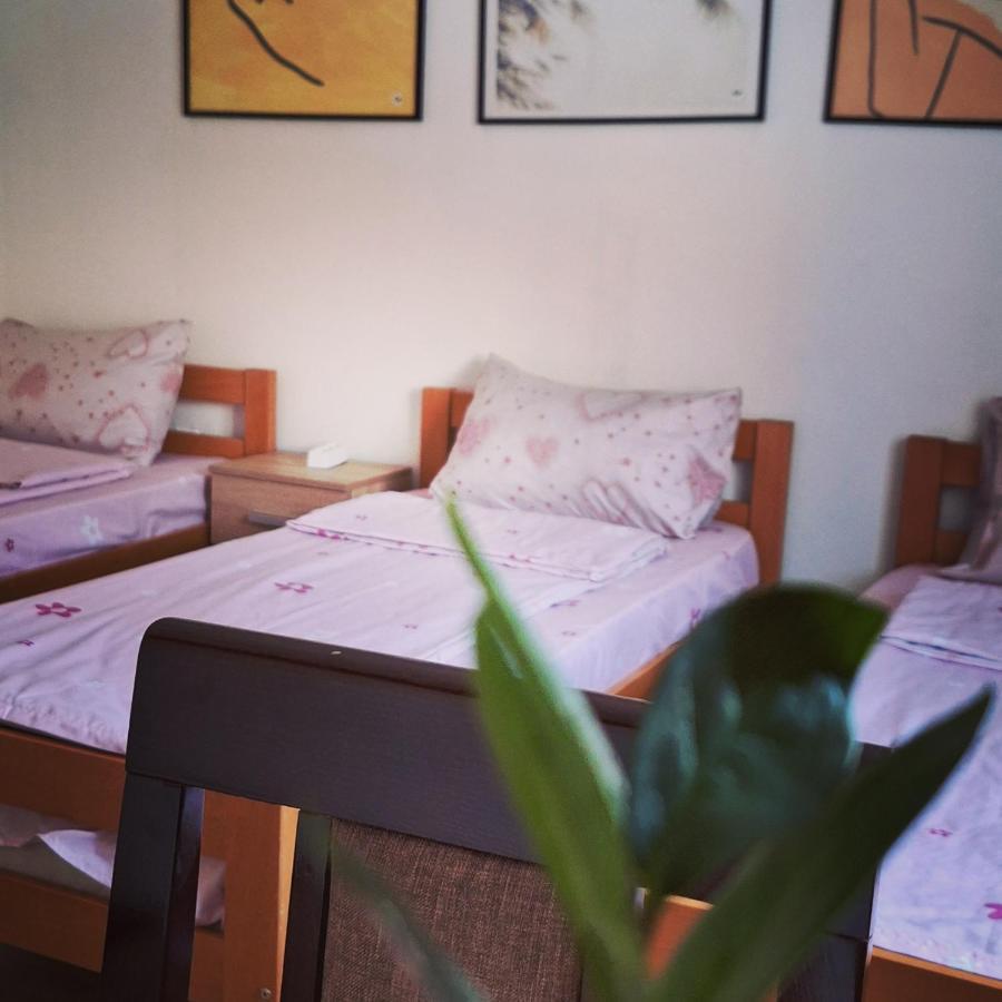 Apartman Zivkovic Λέσκοβατς Εξωτερικό φωτογραφία